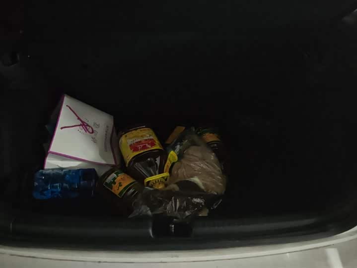 Volkswagen Polo 2023 2023款 Plus 1.5L 自动炫彩科技版