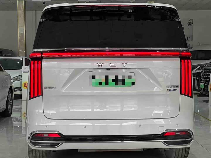 Wey Gaoshan 2023 2023款 四驱旗舰版