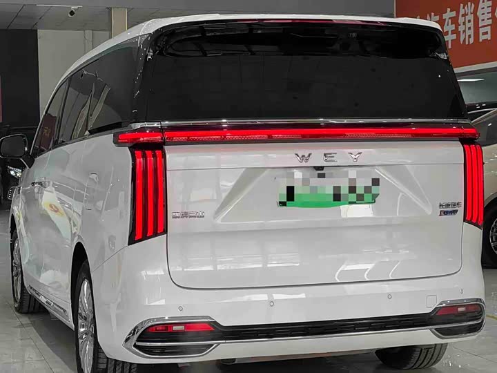 Wey Gaoshan 2023 2023款 四驱旗舰版