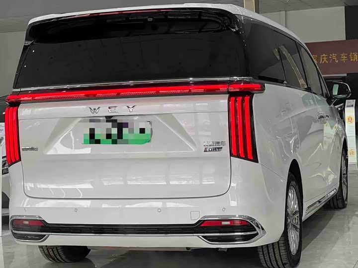 Wey Gaoshan 2023 2023款 四驱旗舰版