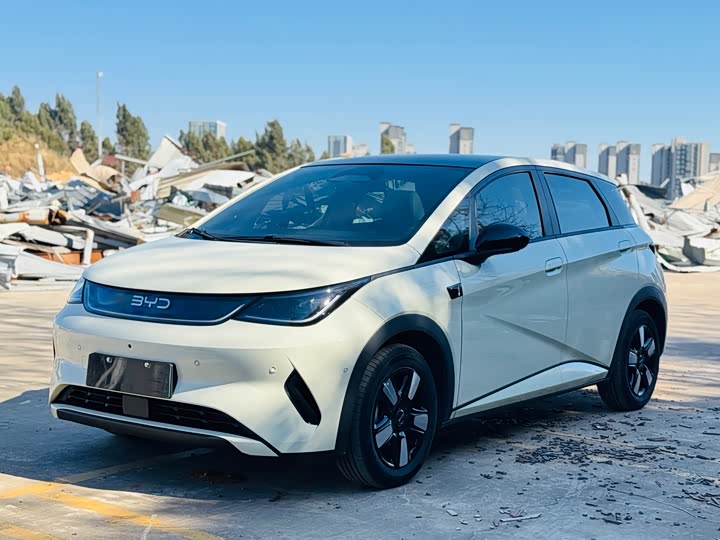 BYD Dolphin 2025 2025款 智驾版 410km 时尚版