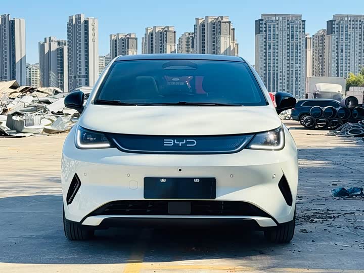 BYD Dolphin 2025 2025款 智驾版 410km 时尚版