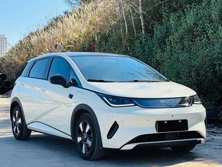 BYD Dolphin 2025 2025款 智驾版 410km 时尚版