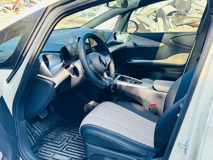 BYD Dolphin 2025 2025款 智驾版 410km 时尚版