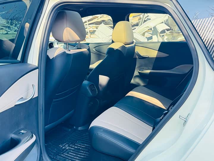 BYD Dolphin 2025 2025款 智驾版 410km 时尚版