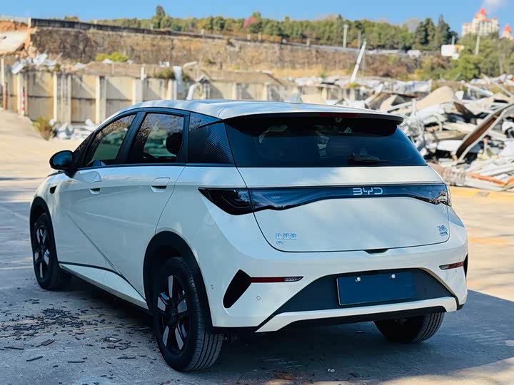 BYD Dolphin 2025 2025款 智驾版 410km 时尚版