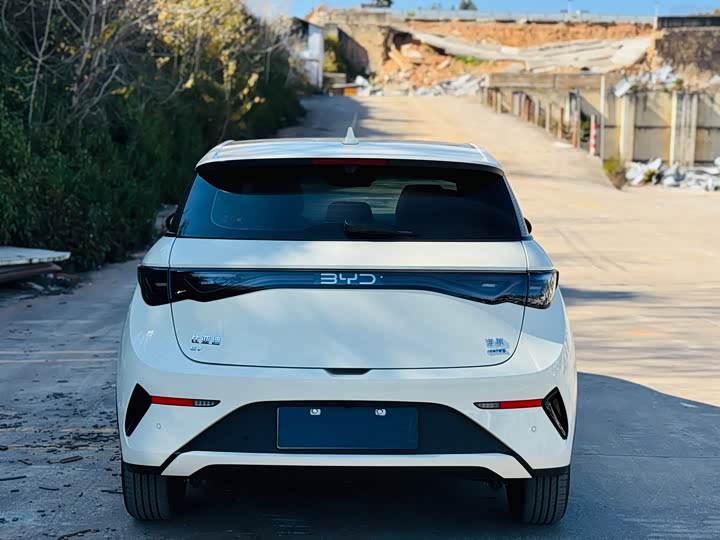 BYD Dolphin 2025 2025款 智驾版 410km 时尚版