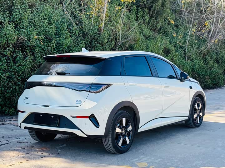 BYD Dolphin 2025 2025款 智驾版 410km 时尚版