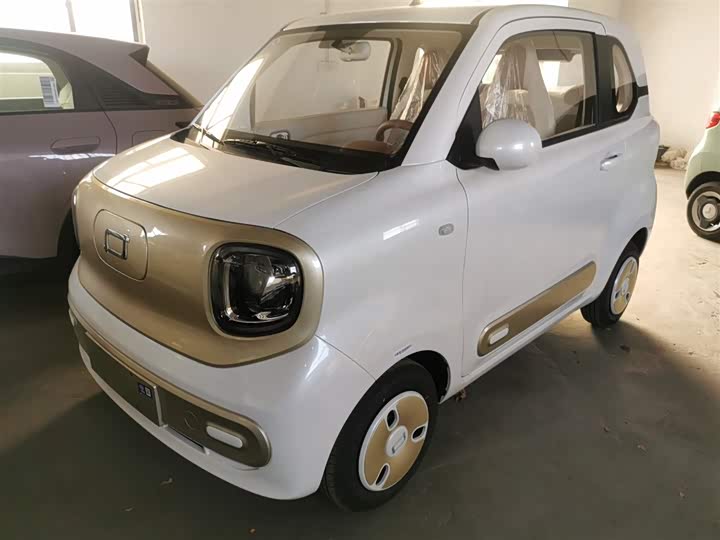 Bestune Pony 2026 2026款 222km 炫彩马