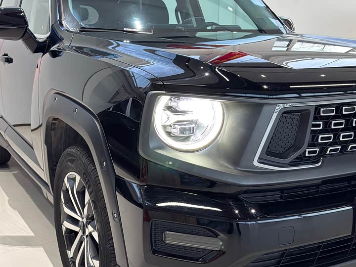 Haval H-Dog 2023 2023款 2.0T 两驱潮野版Plus