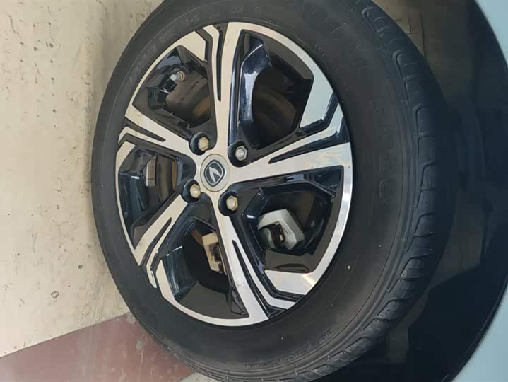 Changan BenBen E-Star 2021 2021款 国民版 心动版 磷酸铁锂