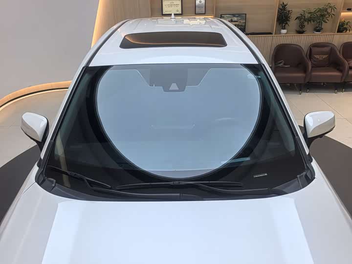 Toyota Wildlander Hybrid 2021 2021款 高性能版 2.5L 两驱劲擎版