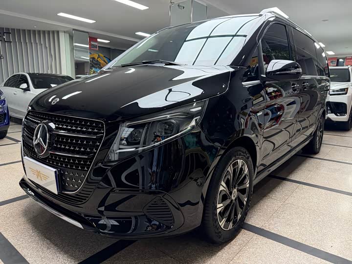 Mercedes-Benz V-Class 2024 2024款 V 300 尊贵版