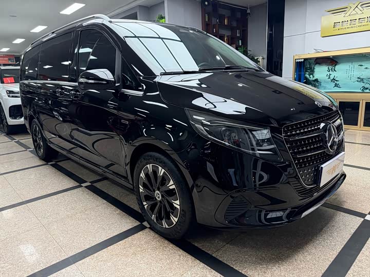 Mercedes-Benz V-Class 2024 2024款 V 300 尊贵版