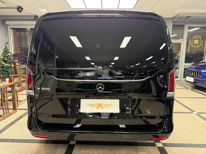 Mercedes-Benz V-Class 2024 2024款 V 300 尊贵版
