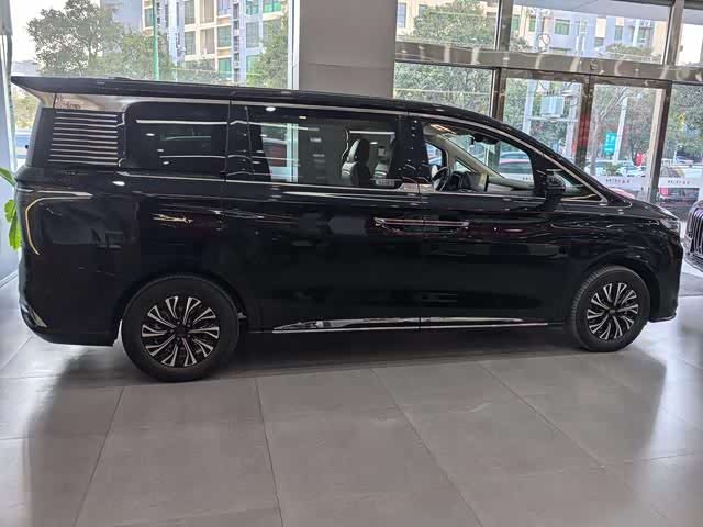 Hongqi HQ9 Hybrid 2024 2024款 2.0T 四驱商务版