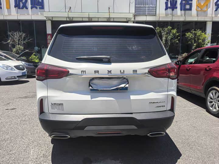 Maxus D90 Pro 2021 2021款 2.0T 汽油两驱精英特别版 6座