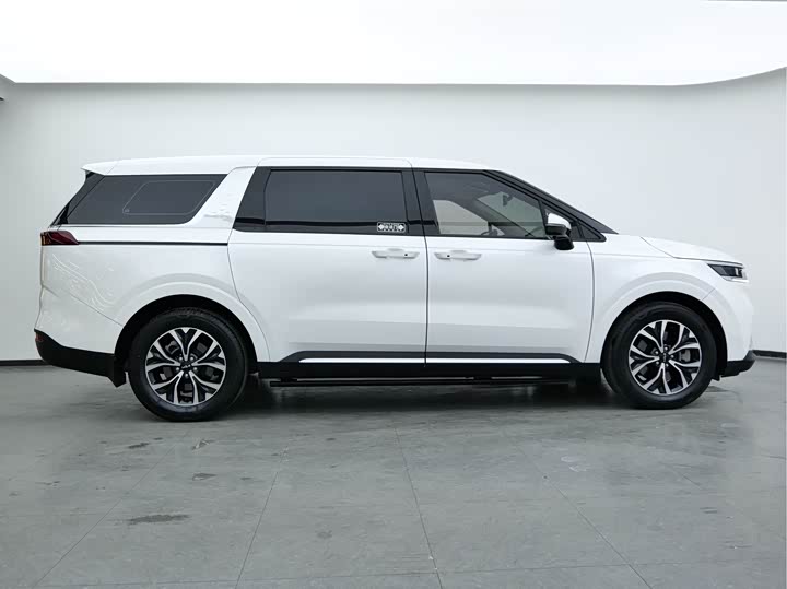 Kia Carnival 2021 2021款 2.0T 豪华版