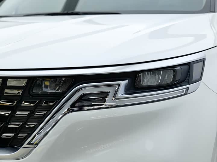 Kia Carnival 2021 2021款 2.0T 豪华版