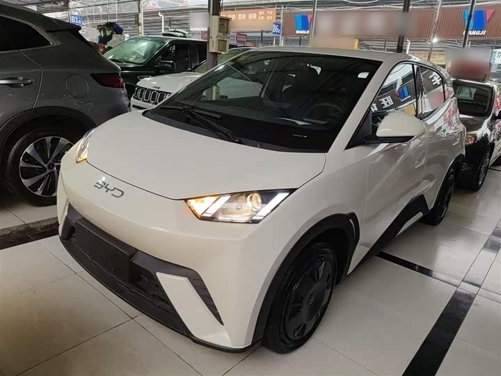 BYD Seagull 2025 2025款 305km 活力版