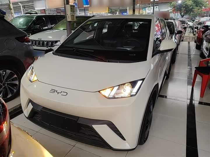 BYD Seagull 2025 2025款 305km 活力版