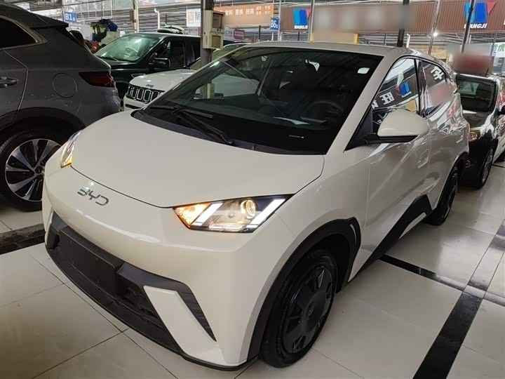 BYD Seagull 2025 2025款 305km 活力版