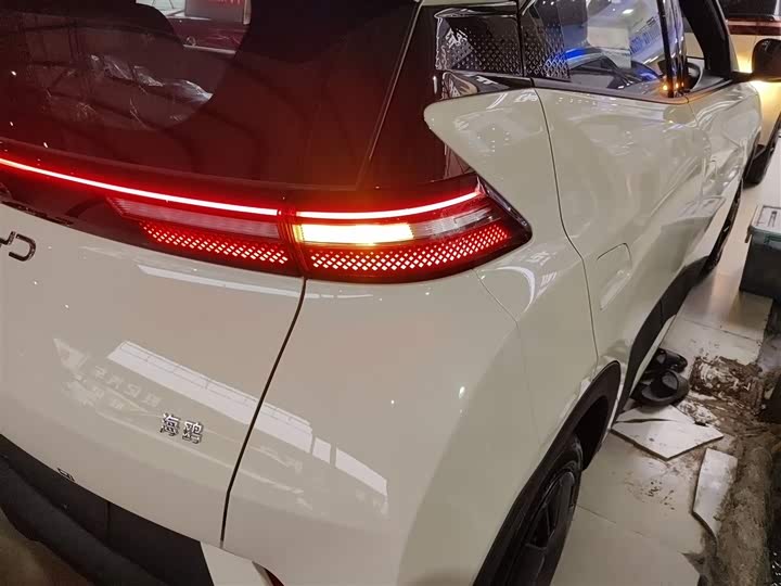 BYD Seagull 2025 2025款 305km 活力版