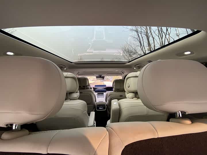 Denza N9 2025 2025款 尊荣型