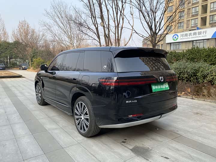 Denza N9 2025 2025款 尊荣型