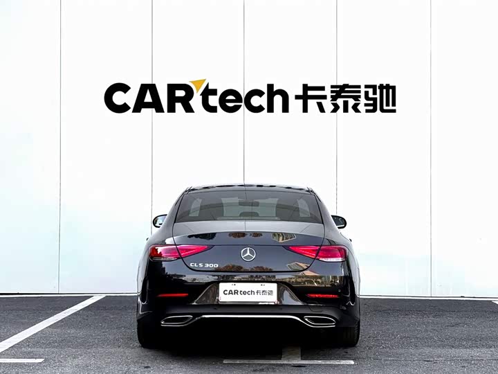 Mercedes-Benz CLS-Class 2023 2023款 改款 CLS 300 动感型