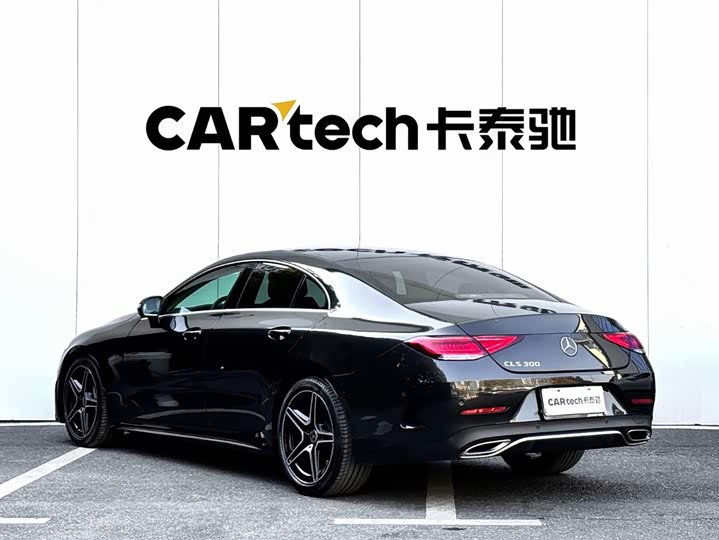Mercedes-Benz CLS-Class 2023 2023款 改款 CLS 300 动感型