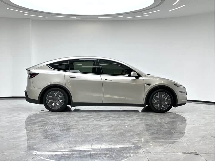 Tesla Model Y 2025 2025款 长续航全轮驱动版