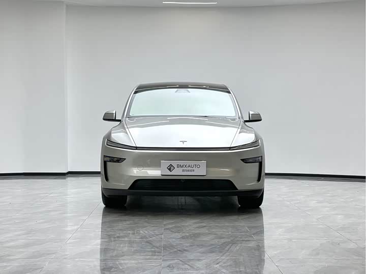 Tesla Model Y 2025 2025款 长续航全轮驱动版