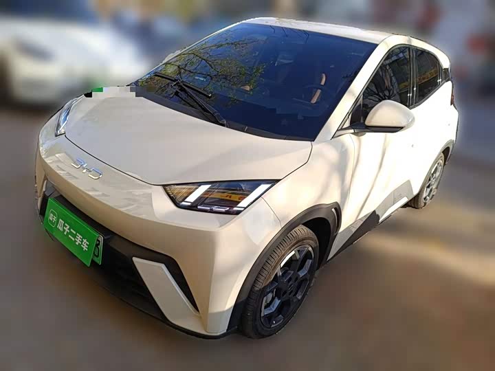 BYD Seagull 2025 2025款 305km 自由版