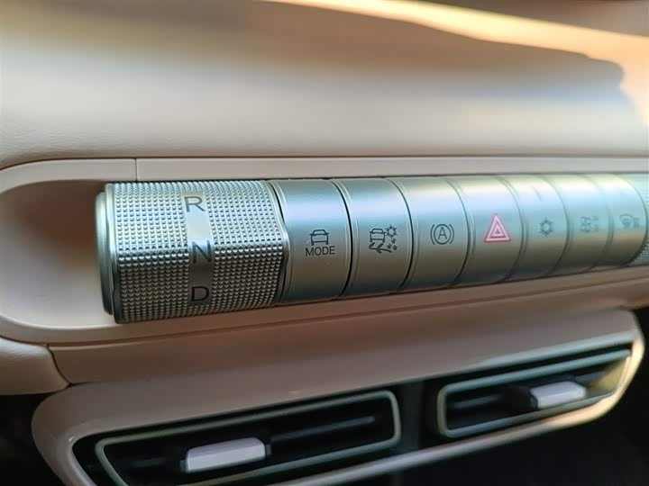 BYD Seagull 2025 2025款 305km 自由版