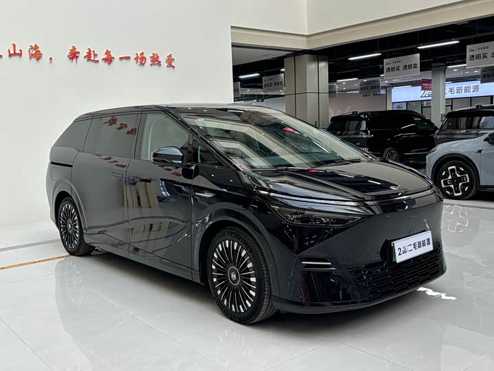 2025 XPeng X9