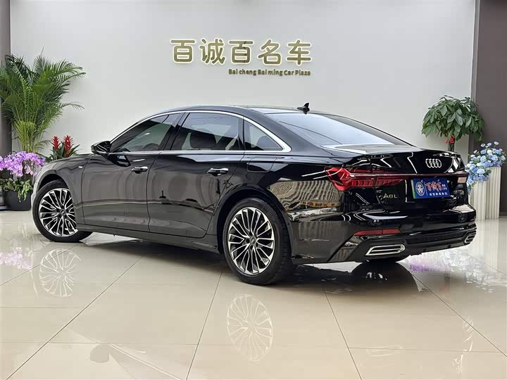 Audi A6L Hybrid 2020 2020款 55 TFSI e quattro