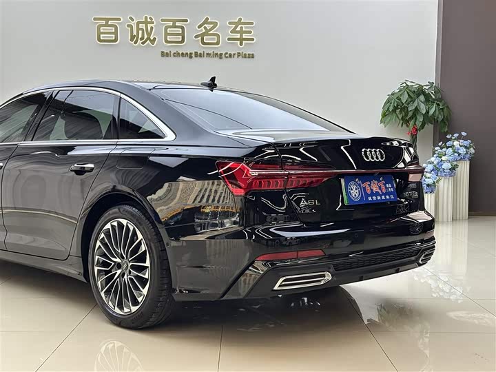 Audi A6L Hybrid 2020 2020款 55 TFSI e quattro