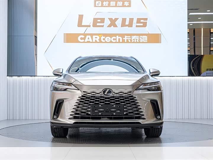 Lexus RX 2023 2023款 350h 两驱舒享版