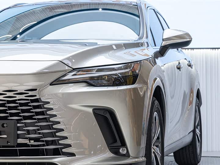 Lexus RX 2023 2023款 350h 两驱舒享版