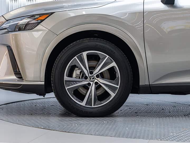 Lexus RX 2023 2023款 350h 两驱舒享版