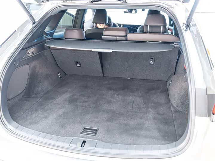 Lexus RX 2023 2023款 350h 两驱舒享版