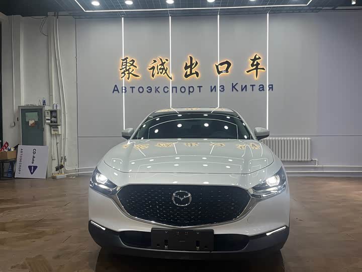 Mazda CX-30 2022 2022款 2.0L 自动雅悦型