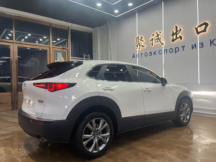 Mazda CX-30 2022 2022款 2.0L 自动雅悦型