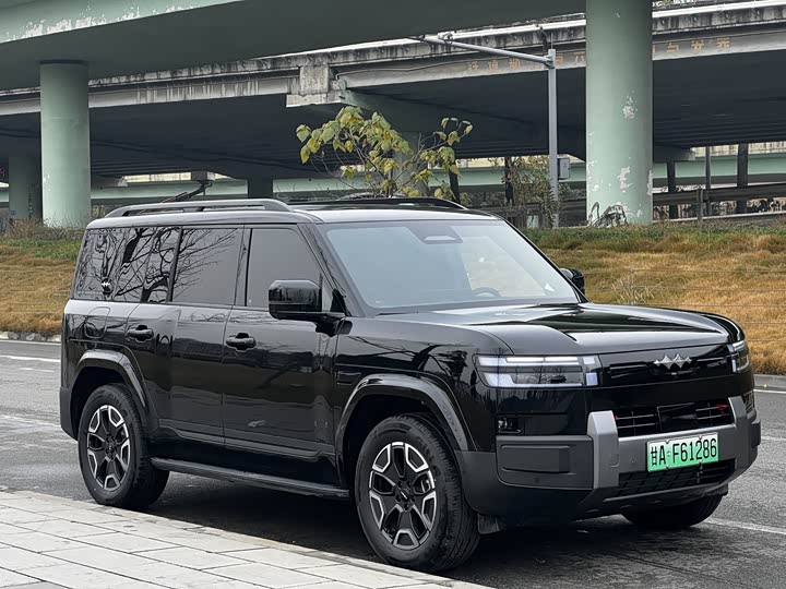 BYD FangChengBao Titanium 7 (Tai 7) 2025 2025款 135KM两驱Pro版