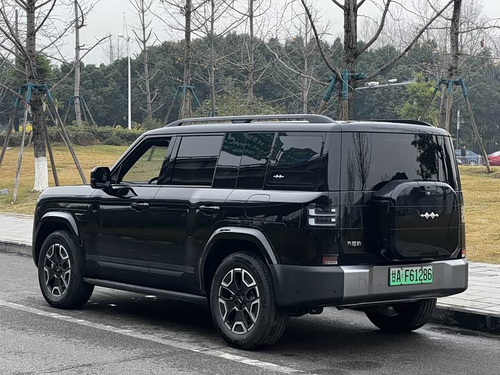 BYD FangChengBao Titanium 7 (Tai 7) 2025 2025款 135KM两驱Pro版