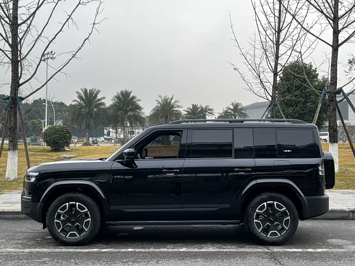 BYD FangChengBao Titanium 7 (Tai 7) 2025 2025款 135KM两驱Pro版