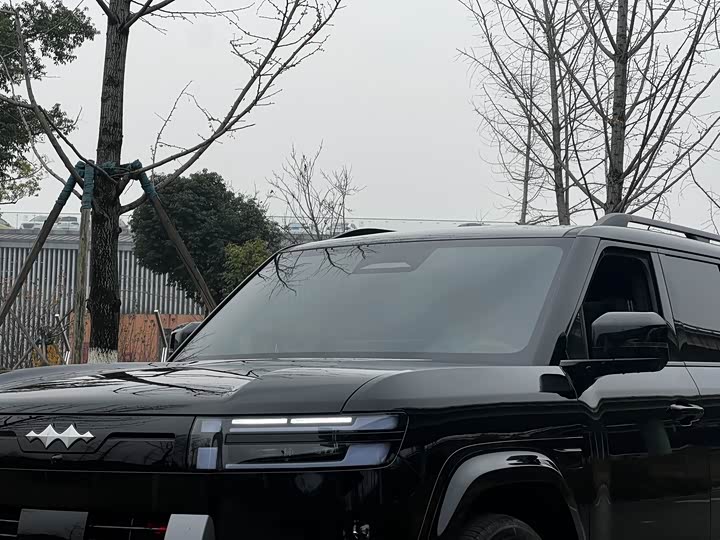 BYD FangChengBao Titanium 7 (Tai 7) 2025 2025款 135KM两驱Pro版