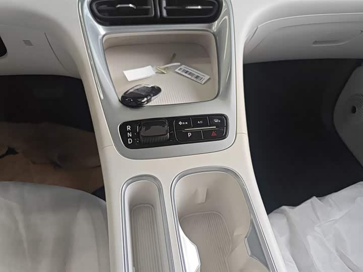 Geely Galaxy Geome 2026 2026款 310km 青春版