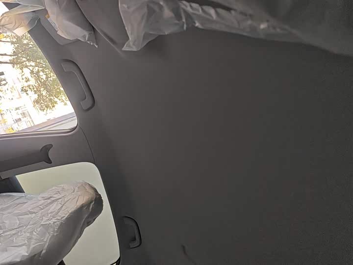 Geely Galaxy Geome 2026 2026款 310km 青春版